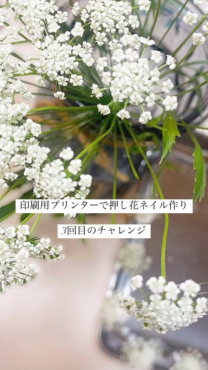 押し花、3回目のチャレンジ！！